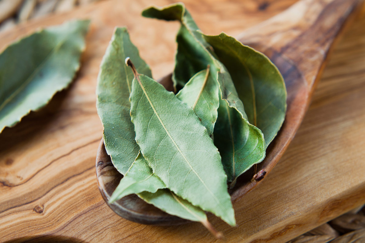 This Bay Leaf Tea May Help Boost Digestion