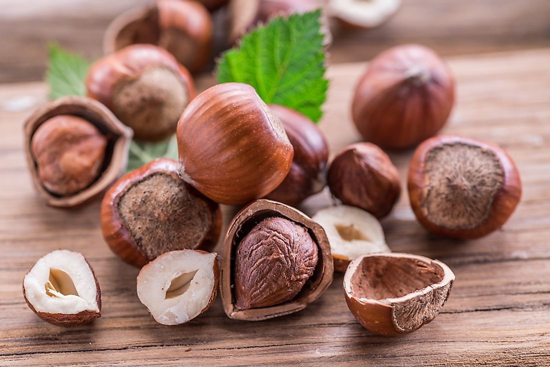 Amazing Benefits of Hazelnuts