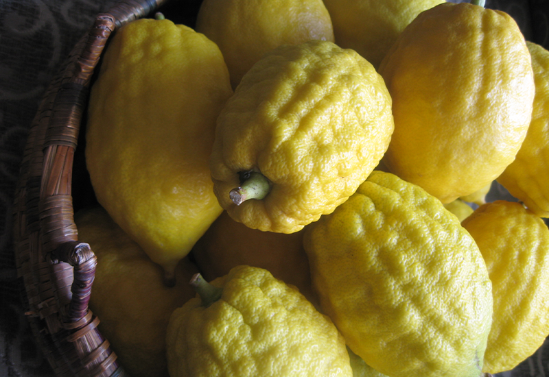 Etrog - Take foods that begin with E and get healthy life