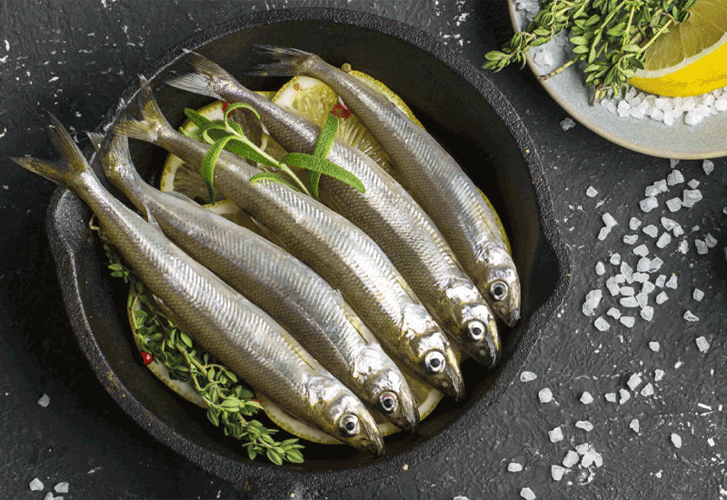 Anchovies - Intake of Niacin(Vitamin B3) Every Day - It's Pros & Cons