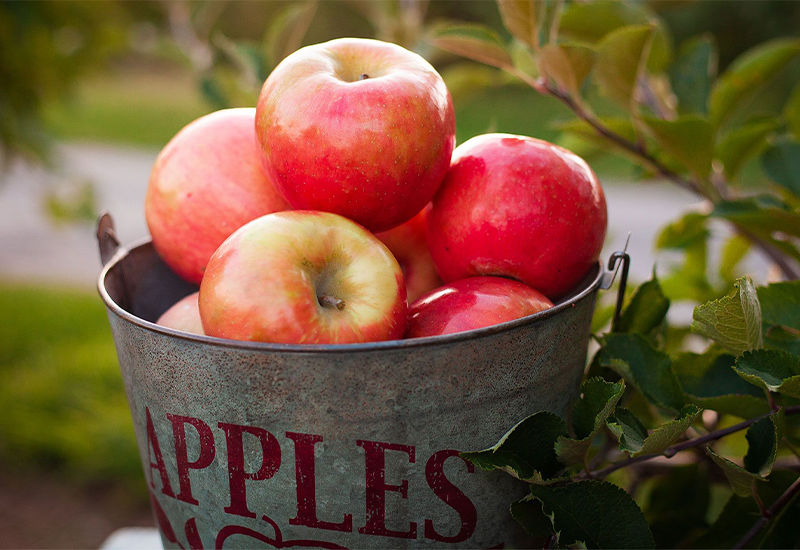Apples - foods that start with A