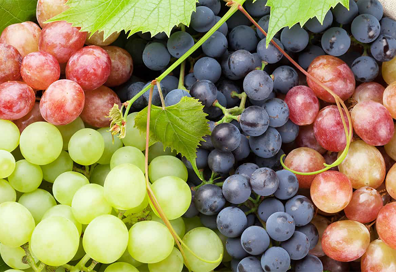 Grapes - foods that start with G