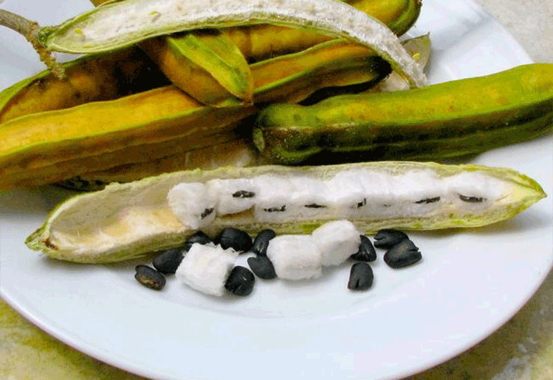 ICE-CREAM BEAN - Healthy 7 foods that start with I