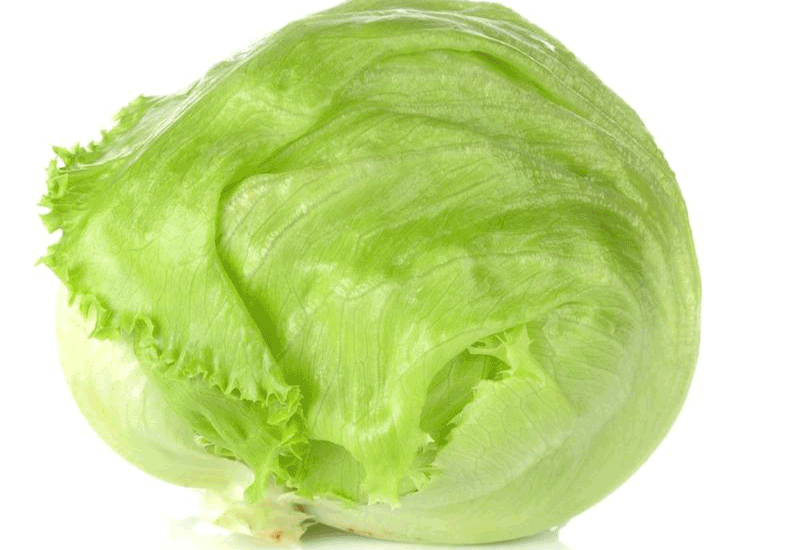 ICEBERG LETTUCE - Healthy 7 foods that start with I