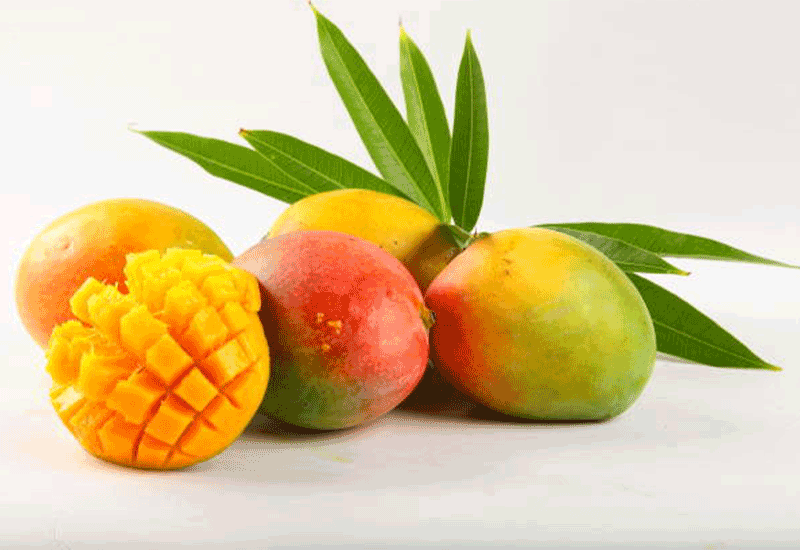 MANGO - Healthy 11 foods that start with M