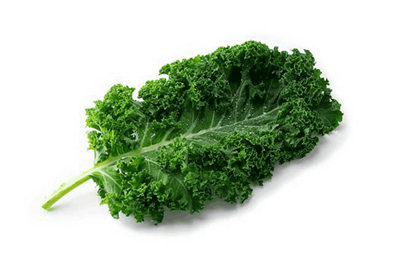 Kale - Healthy 12 foods that start with K