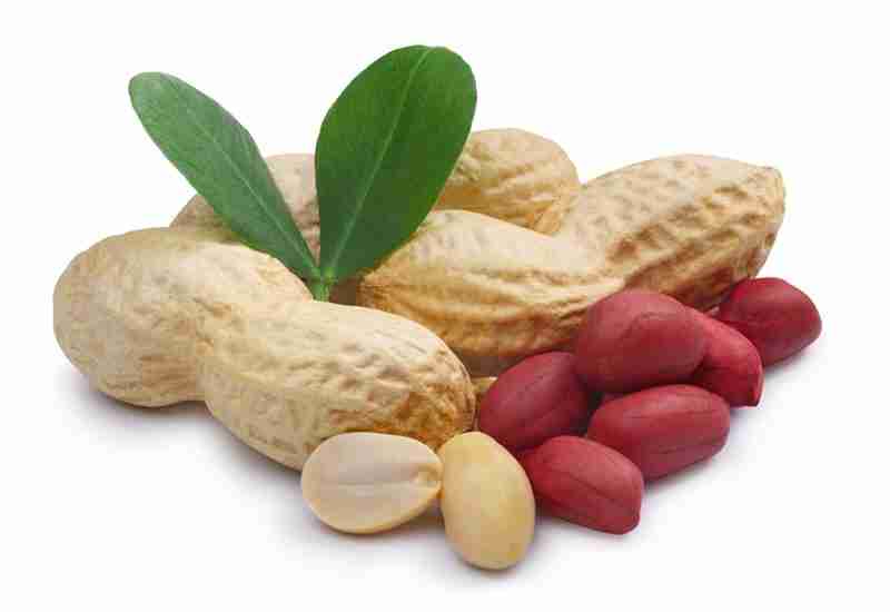 PEANUT - Healthy 11 foods that start with P - Being Health Conscious