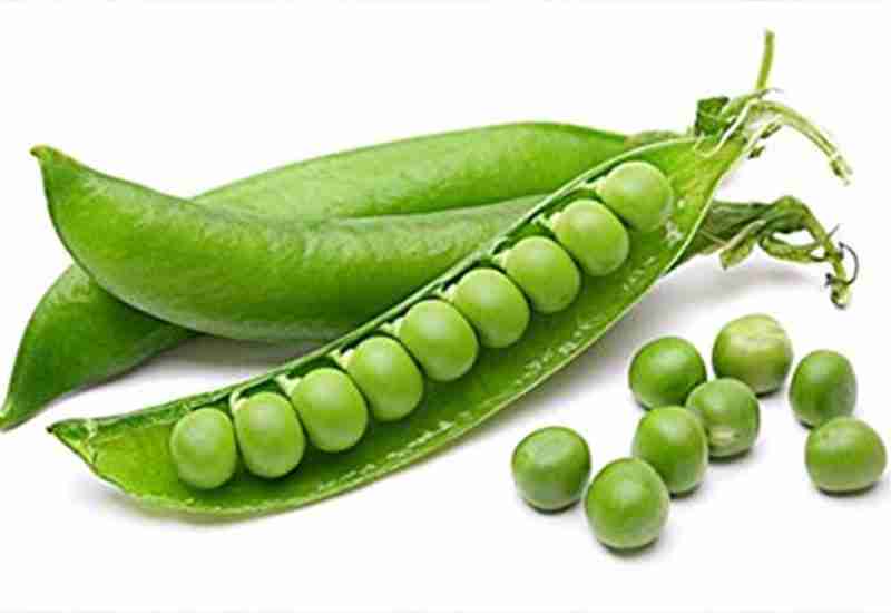 PEAS - Healthy 11 foods that start with P - Being Health Conscious