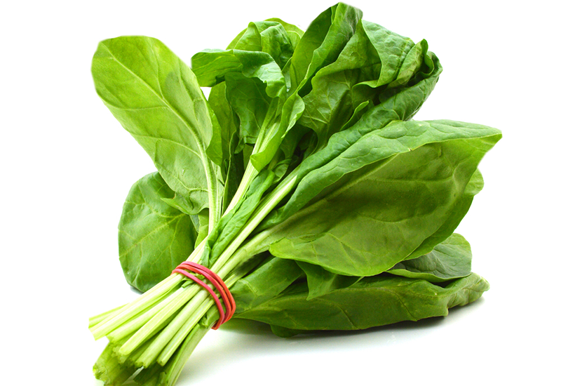 SPINACH has Folic Acid it is Survivor of Our Body