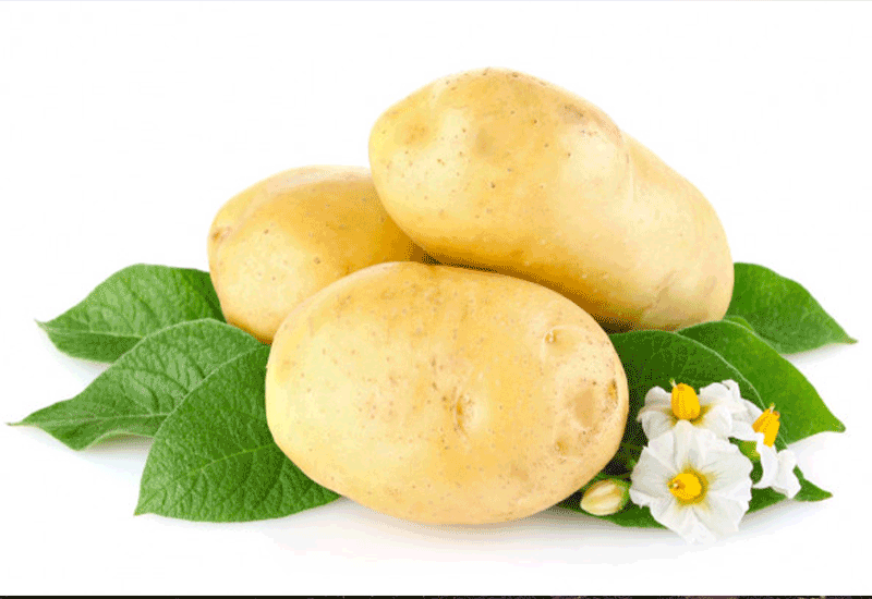 Potatoes - Intake of Niacin Every Day - It's Pros & Cons