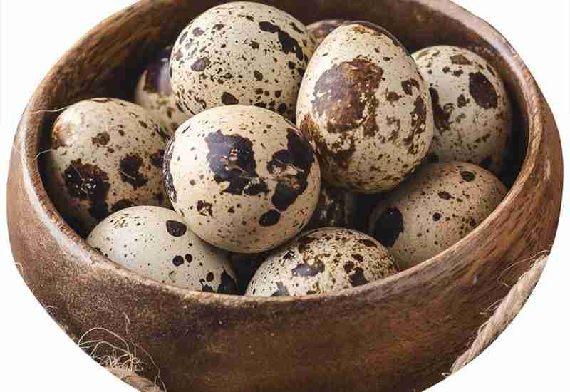 QUAIL EGG - Healthy 6 foods that start with Q - Being Health Conscious