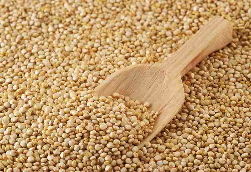 QUINOA - Healthy 6 foods that start with Q - Being Health Conscious