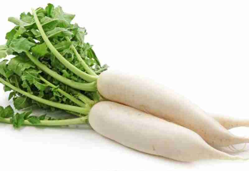 RADISH - Healthy 6 foods that start with R