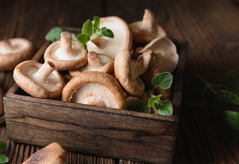 SHIITAKE MUSHROOMS - Vitamin B5 - PANTOTHENIC ACID - Its role in the human body
