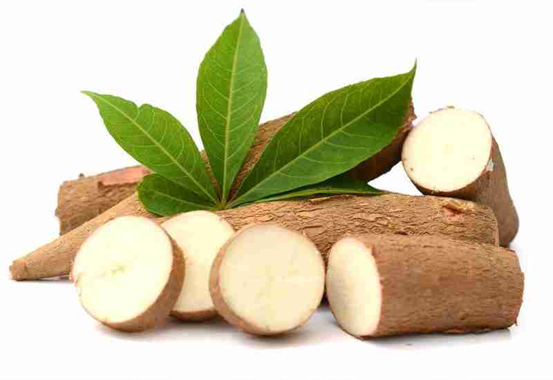 TAPIOCA - Healthy 12 foods that start with T - Being Health Conscious