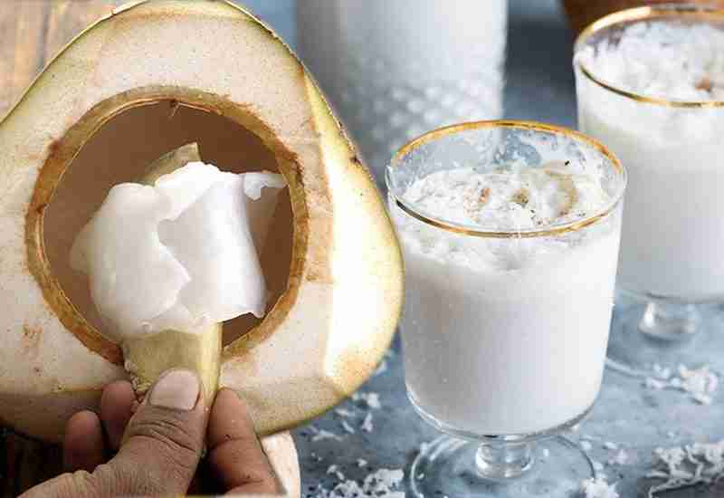 TENDER COCONUT MILKSHAKE - Healthy 12 foods that start with T - Being Health Conscious