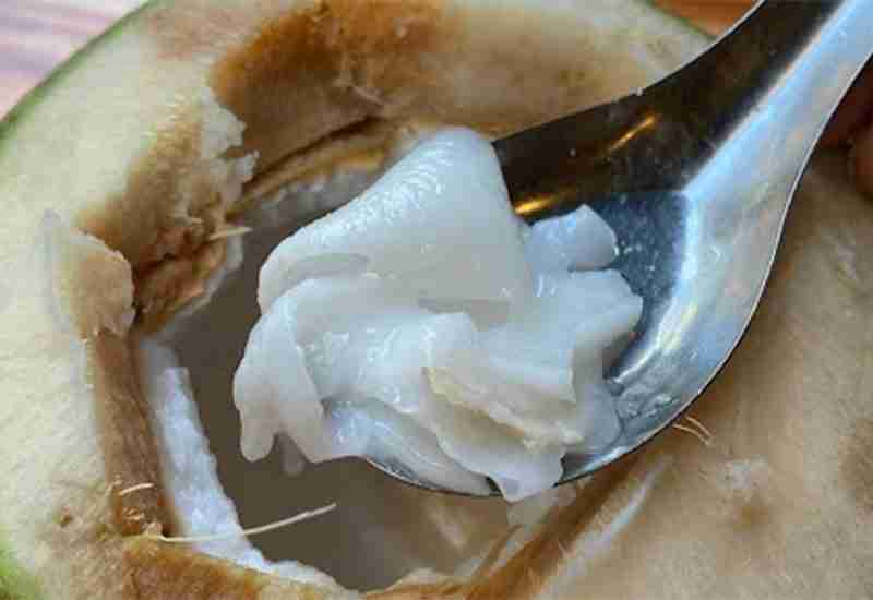 TENDER COCONUT - Healthy 12 foods that start with T - Being Health Conscious