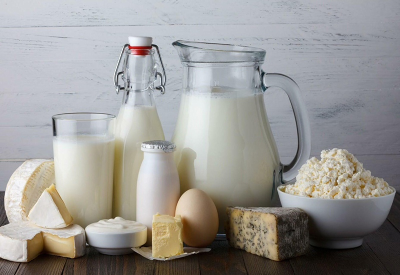 Dairy product - the best food source of Vitamin B12