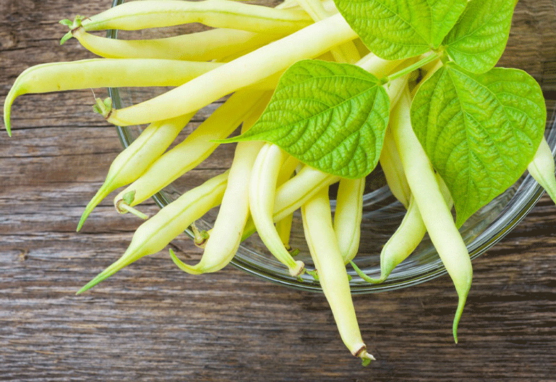 Yellow beans - Healthy 6 foods that start with Y - Being Health Conscious