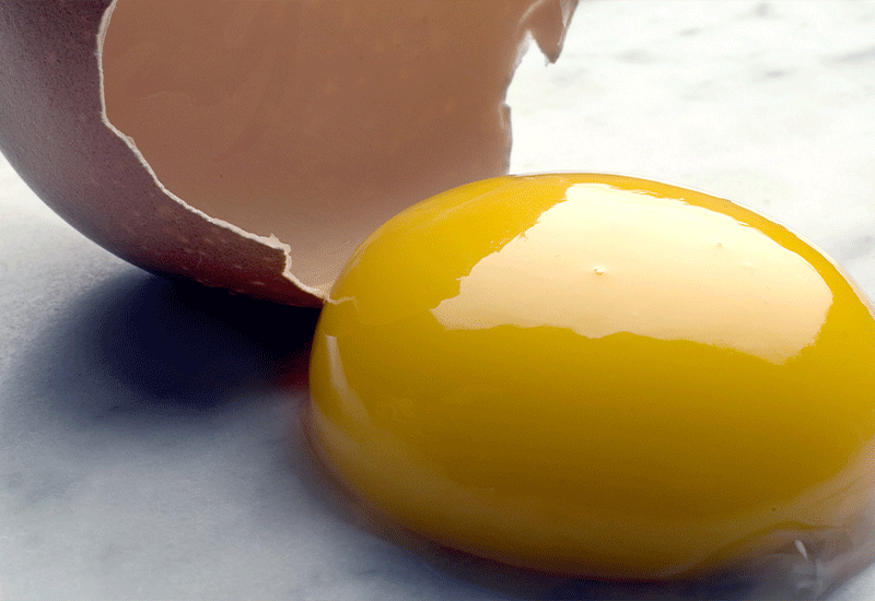 Yolk - Healthy 6 foods that start with Y - Being Health Conscious