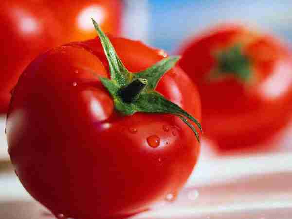 Wholesome Benefits of Tomato
