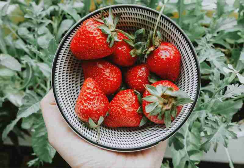 Benefits Of strawberries