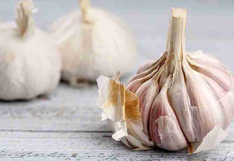 EATING RAW GARLIC - Garlic Benefits