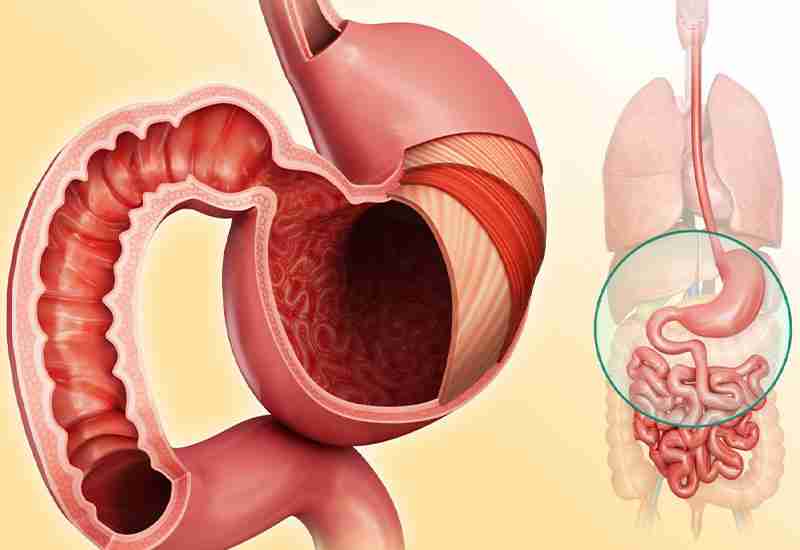 Benefits of Apple Cider Vinegar