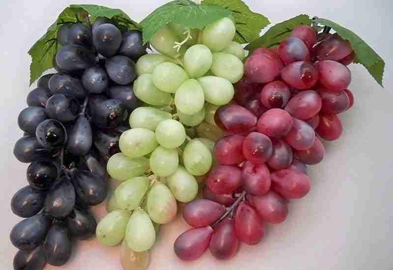 Benefits of grapes
