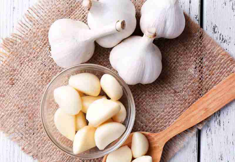 Garlic Benefits