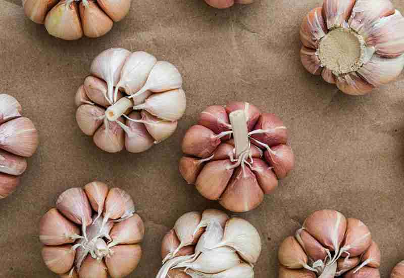 Eliminate cold - Garlic Benefits