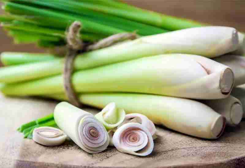 Benefits of Lemongrass: Relieve pain and improve level of sugar blood