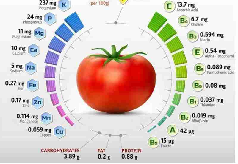 Wholesome Benefits of Tomato