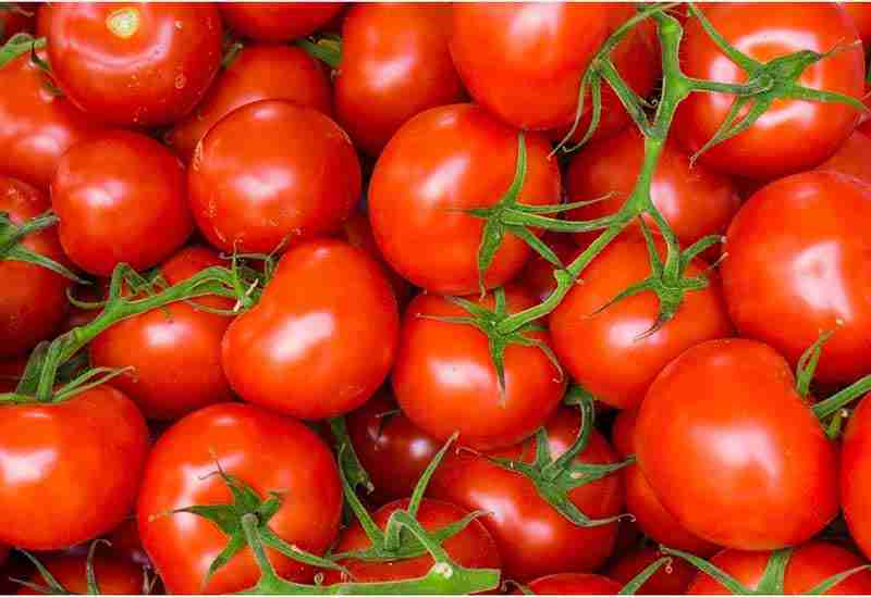 Wholesome Benefits of Tomato
