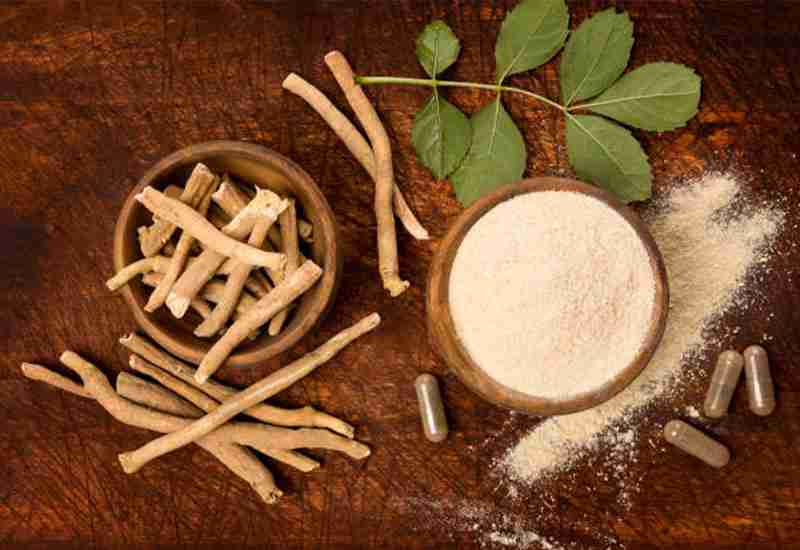 Impressing Ashwagandha Benefits - Healthful & Helpful