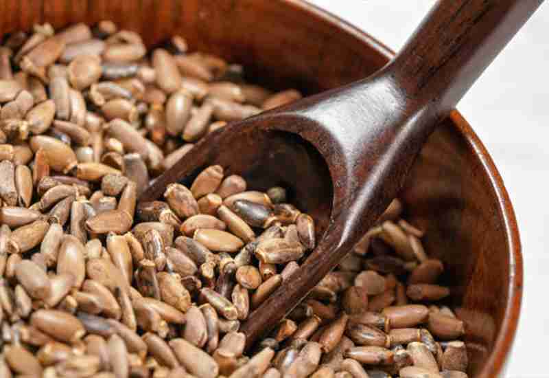 Benefits Of Chia Seeds