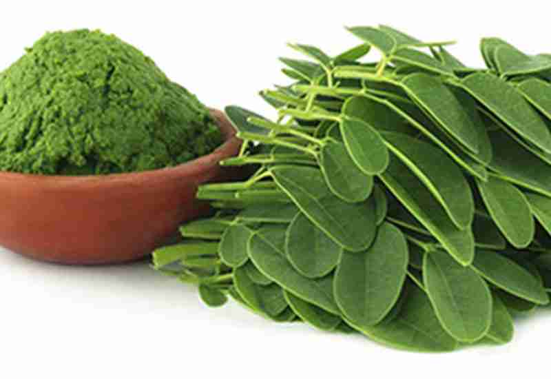 Outstanding Benefits Of Moringa
