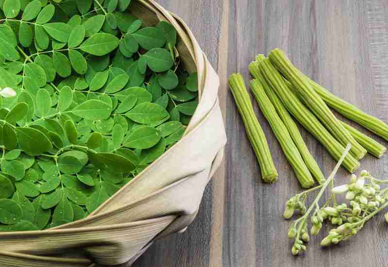 Anti-viral: Outstanding Benefits Of Moringa