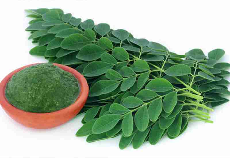 Contains iron and manganese: Outstanding Benefits Of Moringa