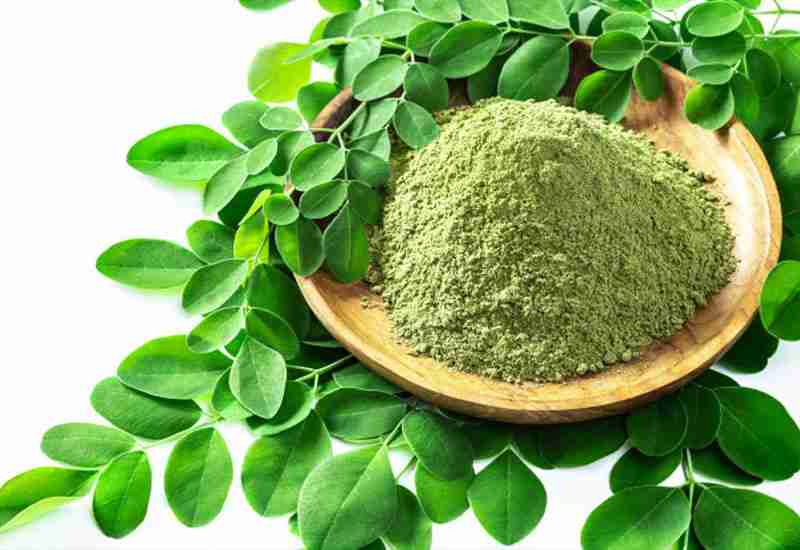 Outstanding Benefits Of Moringa
