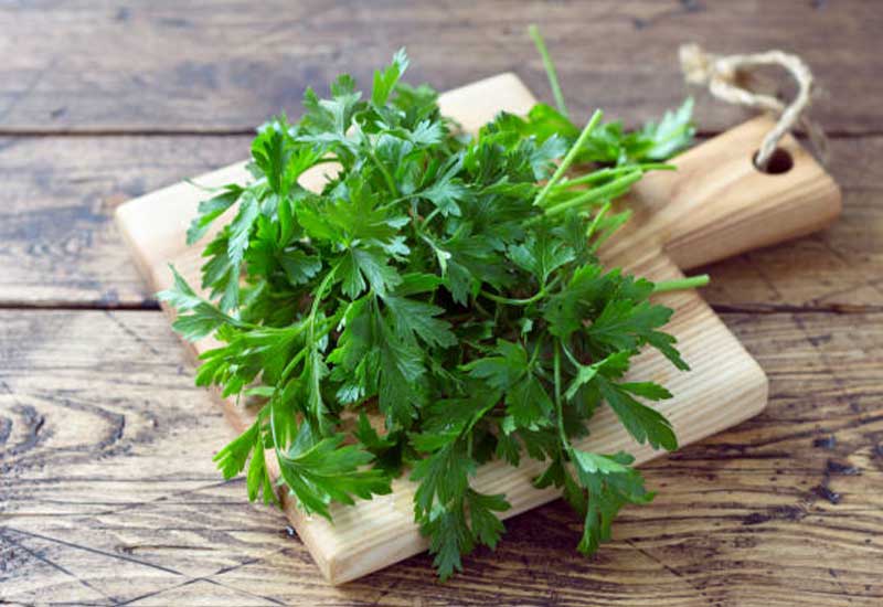 Amazing Benefits Of Parsley and limitations
