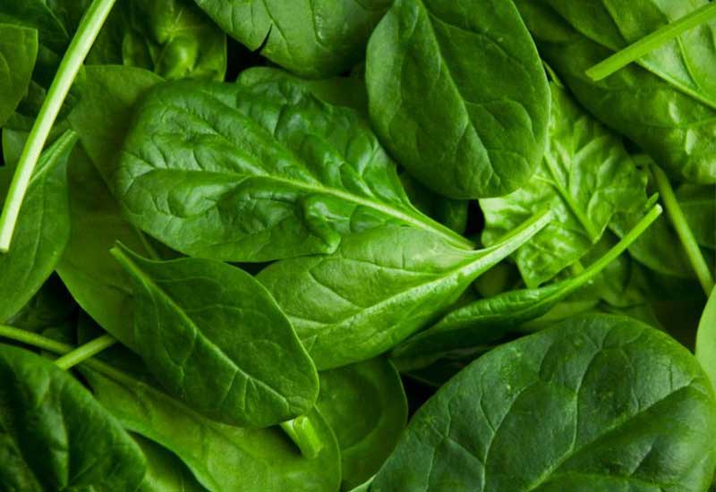 These Iron-Rich Foods To Increase Fast Red Blood Cell