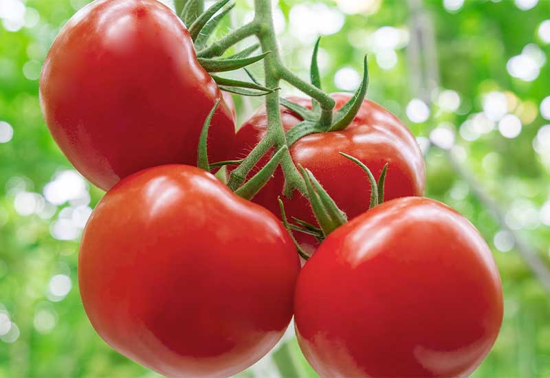 These Iron-Rich Foods To Increase Fast Red Blood Cell