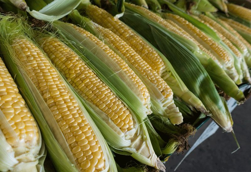 Winter Foods that strengthen your Bone and Immune system
