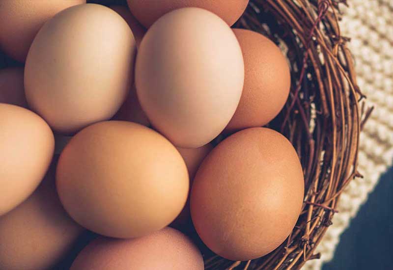 Winter Foods that strengthen your Bone and Immune system