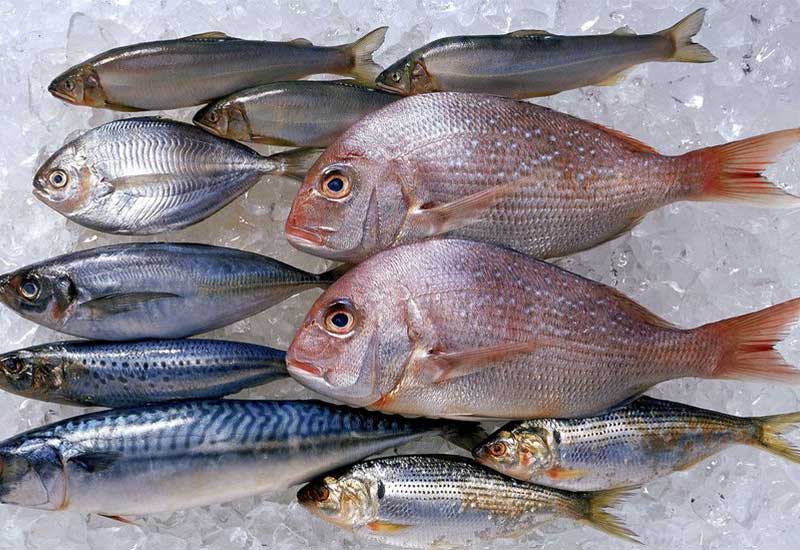 Winter Foods that strengthen your Bone and Immune system