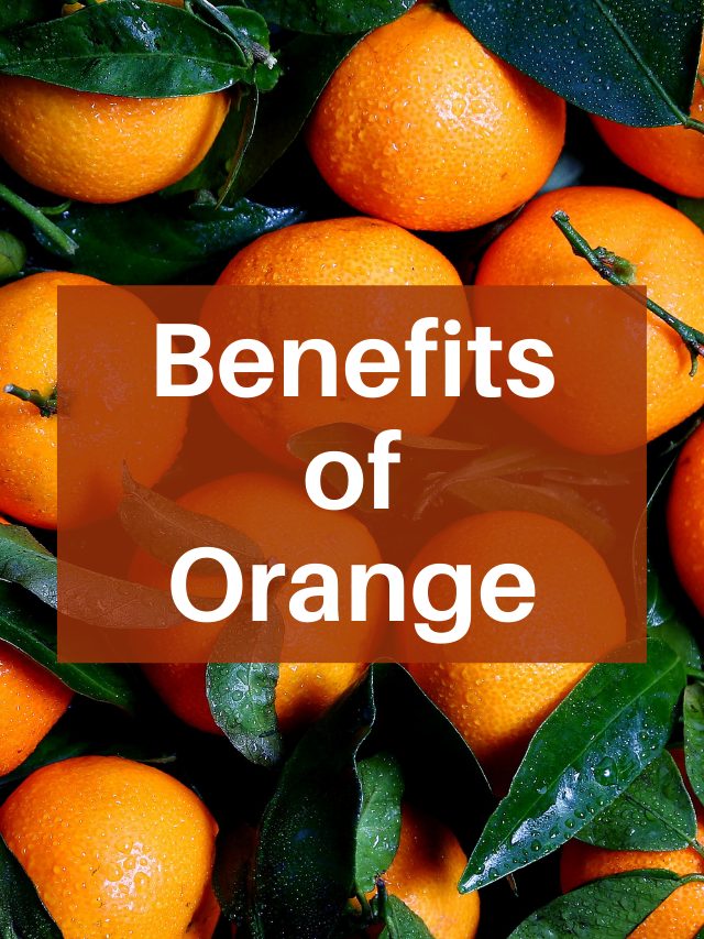 Wholesome Benefits of Orange and it’s limitation – Veg Recipes With ...