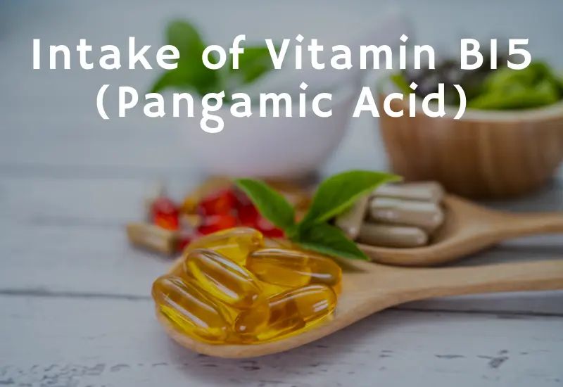 The ultimate guide to Vitamin B15 (Pangamic Acid)