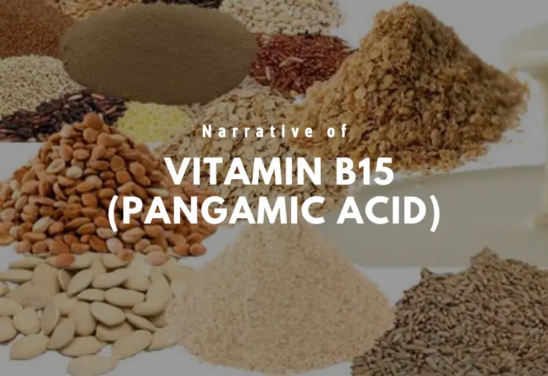 The ultimate guide to Vitamin B15 (Pangamic Acid)